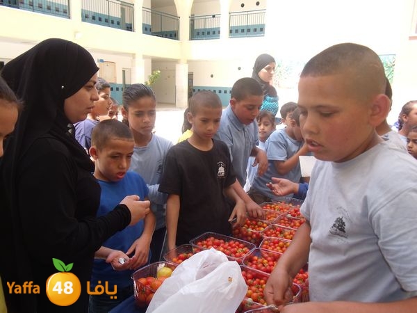 sooqelzahra2lud602 (58).JPG